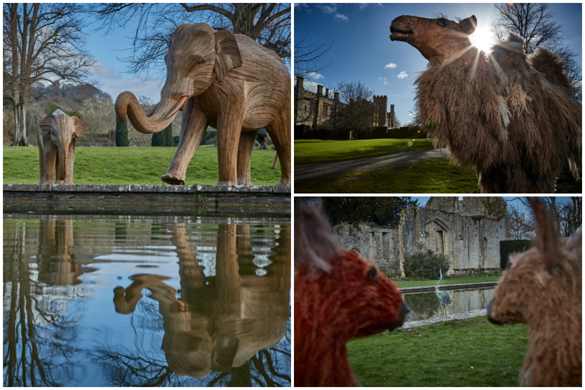 CoExistence Sudeley Castle